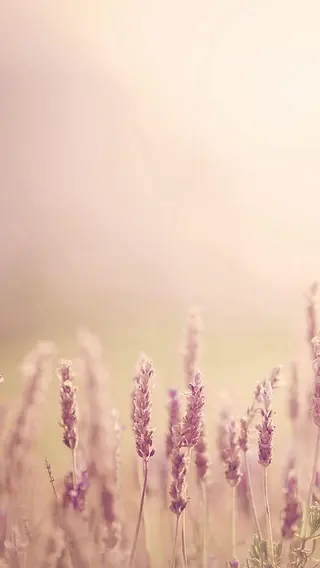 ショート ヘアアレンジ 🌿あがりれいなのその他イメージ