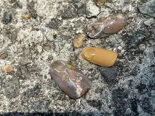 ネイル ~Liebe~ harukaのネイルデザイン