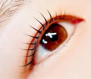 マツエク・マツパ ラジュルネ nail ＆ eyeのマツエク・マツパデザイン