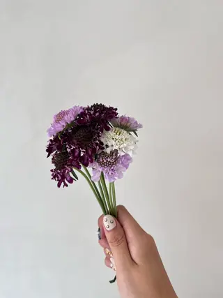 ミディアム カラー 暖色カラー／ ヘアセット🌛櫻井舞のヘアスタイル