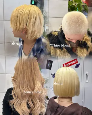 セミロング カラー ハイトーン/ブリーチ カラー/SHOGOのヘアスタイル