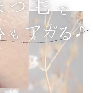 マツエク・マツパ 大人の為のデザイン 🫧Misuzuのマツエク・マツパデザイン