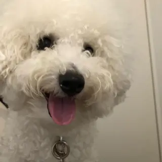 ネイル USAMiMi 🐰💕のネイルデザイン