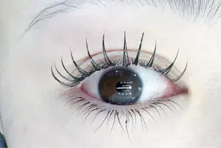 マツエク・マツパ 人気店🌸Ce Ce マツエク&ネイルのマツエク・マツパデザイン