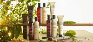 モデルさん募集中IT byALBUM八王子のヘアスタイル