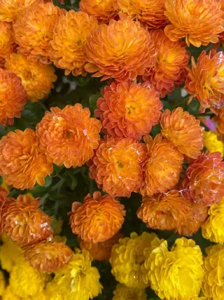 Mandarin Orange所属・毛穴から始める肌メン テマンダリンオレンジのエステ・リラクイメージ