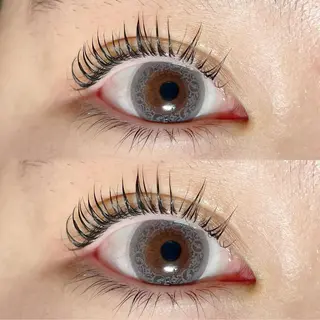 マツエク・マツパ Sakura - blow京橋の眉毛・アイブロウイメージ