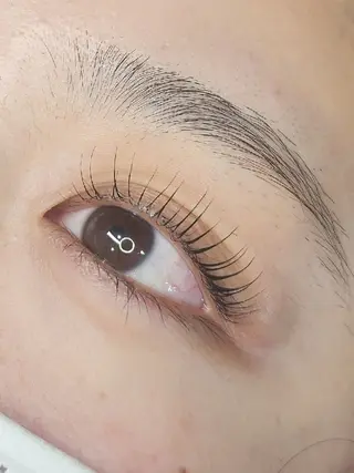 マツエク・マツパ Refoile所属・11/4open👏 Refoile🎉のマツエク・マツパデザイン