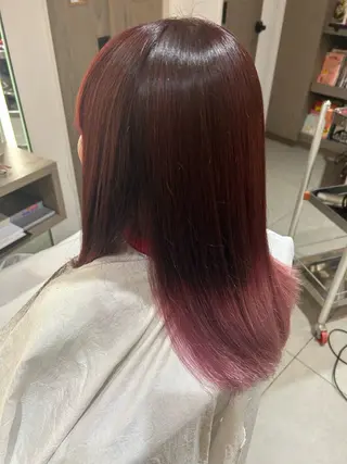 セミロング 🌼ボブ/レイヤー /Hime🌿のヘアスタイル