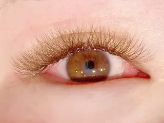 マツエク・マツパ mila.池袋LED エクステ・イガラシのマツエク・マツパデザイン