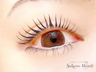 マツエク・マツパ サクラブロウ 心斎橋のマツエク・マツパデザイン