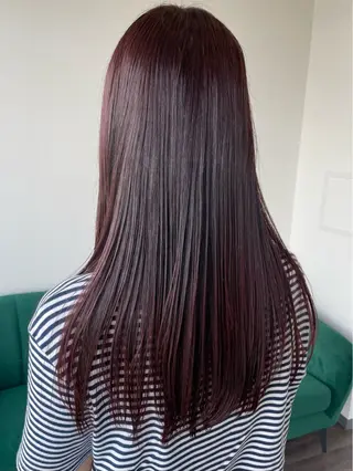 セミロング カラー 艶カラー🌙縮毛矯正 /ボブ【Reina】のヘアスタイル