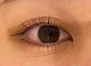 マツエク・マツパ Daisy lash 京橋店堀井のマツエク・マツパデザイン