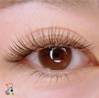 マツエク・マツパ 大倉 美紀のマツエク・マツパデザイン