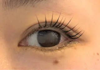 マツエク・マツパ KUON 菊地のマツエク・マツパデザイン