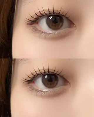 マツエク・マツパ カルフールノア高田馬場所属・MIKU 🦋の眉毛・アイブロウイメージ