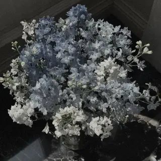 マツエク・マツパ Silk by Bianca 柳🐕のマツエク・マツパデザイン