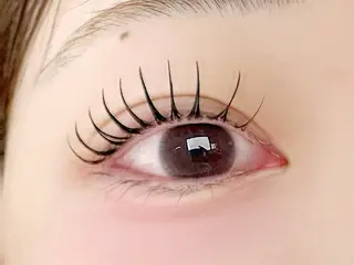 マツエク・マツパ EYELA小針 小澤のマツエク・マツパデザイン