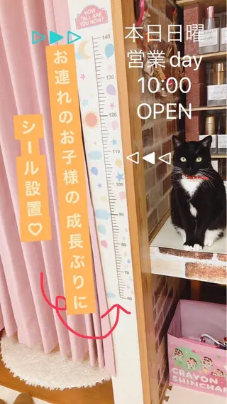 メナード熊本 嘉島のエステ・リラクイメージ