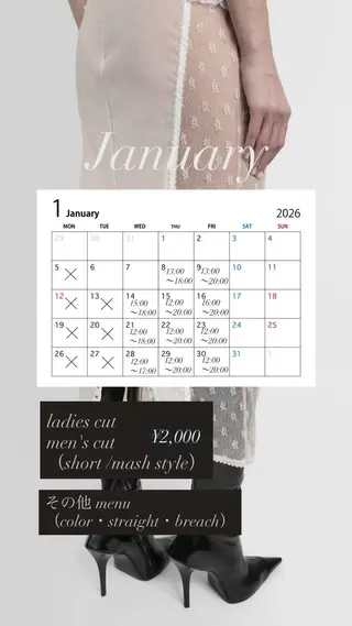 ロング hashimoto kaedeのヘアスタイル