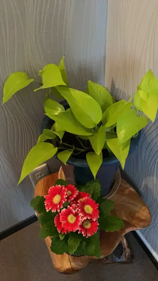 田川 美熙のエステ・リラクイメージ