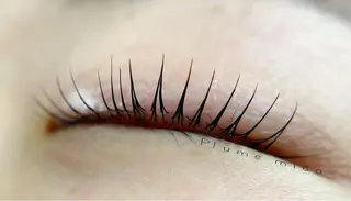 マツエク・マツパ Plume micoのマツエク・マツパデザイン