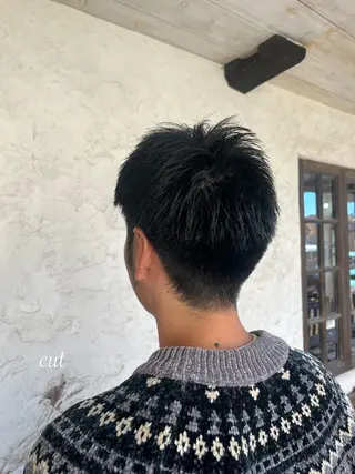 ショート メンズ カット/カラー/ ハイライト/縮毛のヘアスタイル