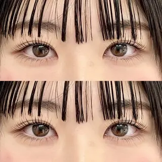 マツエク・マツパ Chihiro🕊️ 韓国パーマ/眉毛のマツエク・マツパデザイン