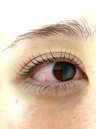 マツエク・マツパ まつ毛パーマ・美肌 ナチュラル　ボーテのマツエク・マツパデザイン