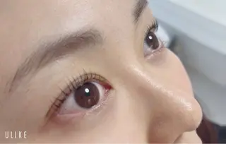 マツエク・マツパ Lily Roseスタッフ一同のマツエク・マツパデザイン