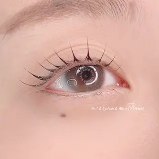マツエク・マツパ Amor所属・AMOR EYELASHのマツエク・マツパデザイン