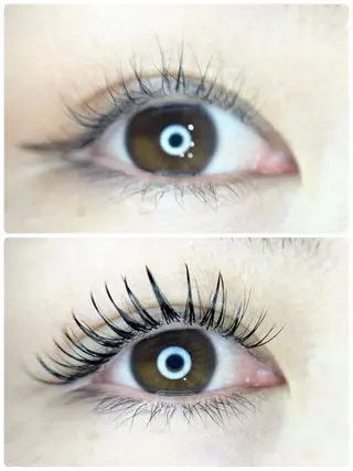 マツエク・マツパ TReiS所属・TReiS eyelashのマツエク・マツパデザイン