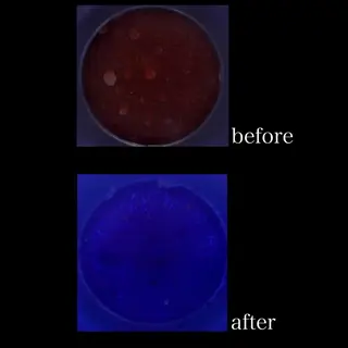 ~en~ えんのエステ・リラクイメージ