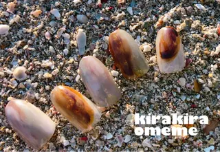 ネイル kirakira omemeのネイルデザイン