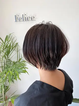 ショート 粕川 達哉のヘアスタイル