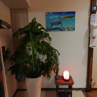 limahoola 鍼灸整骨院のエステ・リラクイメージ