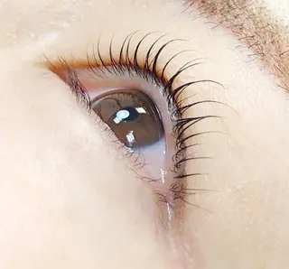 マツエク・マツパ Melia Chieのマツエク・マツパデザイン