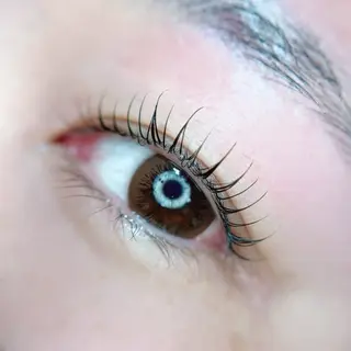 マツエク・マツパ mellow:所属・mellow: eyelashのマツエク・マツパデザイン