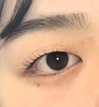 マツエク・マツパ 【eight】 土橋の眉毛・アイブロウイメージ