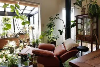 koide  family  studio所属・コイデファミリー スタジオ/小出英明のエステ・リラクイメージ