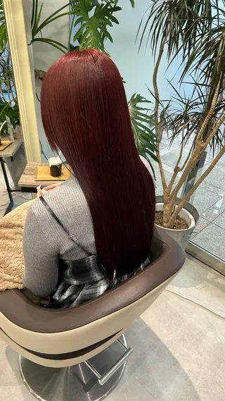 ロング 縮毛矯正/ブリーチ 無しWカラーのヘアスタイル