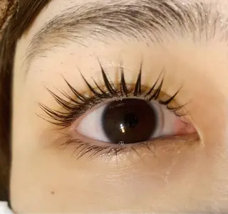 マツエク・マツパ Celeste Venus所属・🧸Celeste Venusのマツエク・マツパデザイン