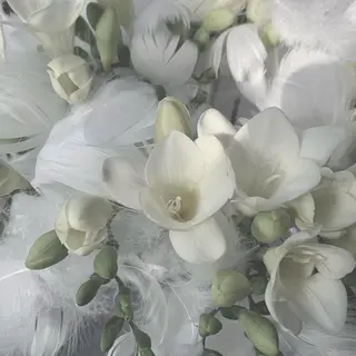 miki ✴︎ 田町/パラジェルのネイルデザイン