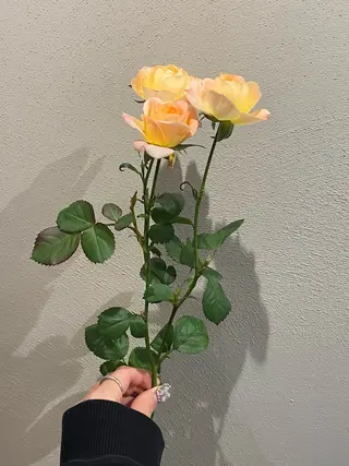 🌻花屋併設🌻濱 幸帆のヘアスタイル