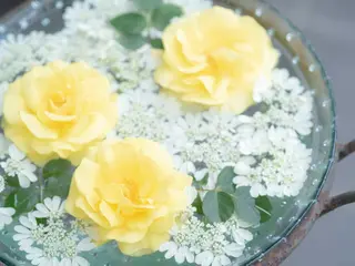 nail&aroma mulet.のネイルデザイン