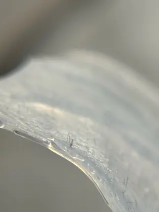 beautysalongift所属・gift あすかのマツエク・マツパデザイン