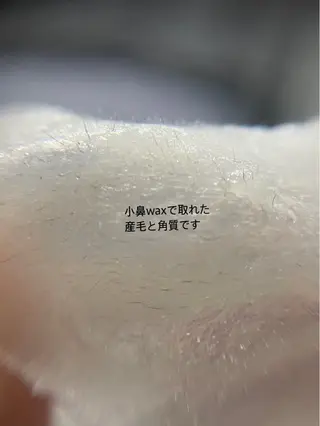 アイブロウ eclipse eyelashのマツエク・マツパデザイン