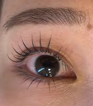 マツエク・マツパ eyelash mignon所属・eyelash mignonのマツエク・マツパデザイン