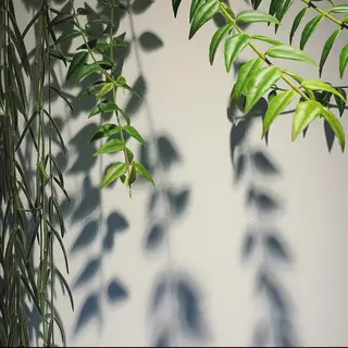 ミディアム カラー LOuNICA/銀座 RYUNOSUKEのヘアスタイル