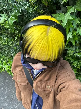 カラー ウルフとデザイン カラーの神のヘアスタイル